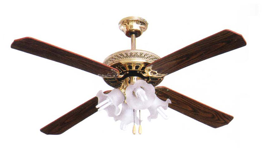 ceiling fan