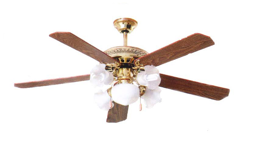 ceiling fan