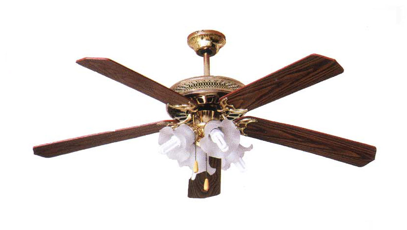 ceiling fan