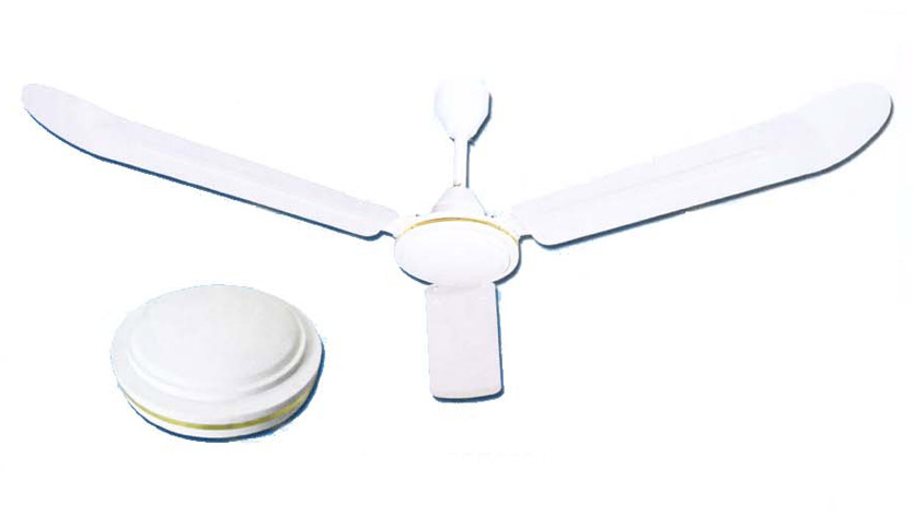 ceiling fan