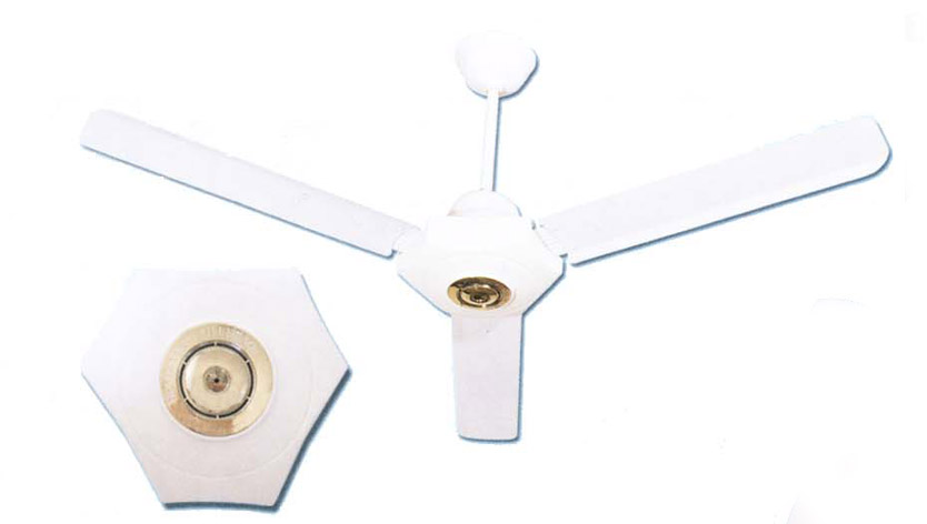 ceiling fan