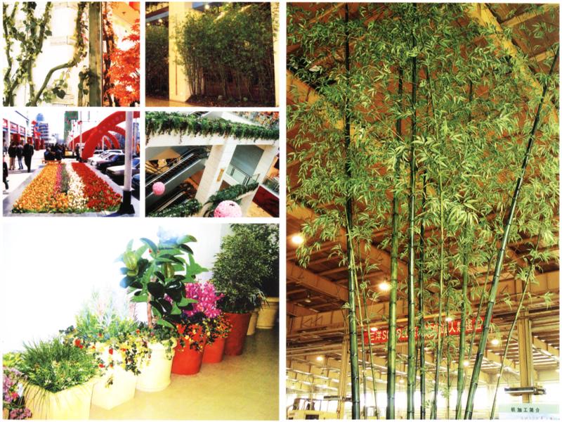 plants